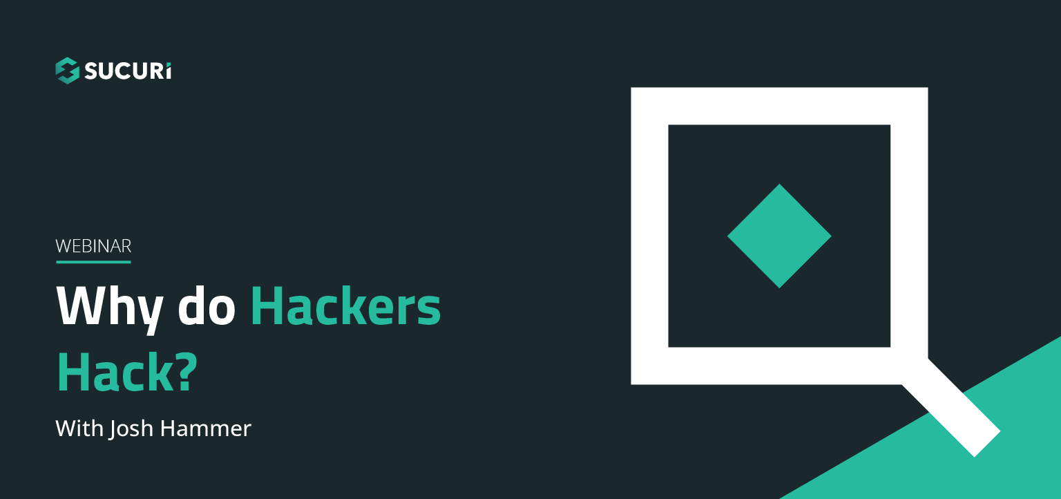 Picture of presenter of Why Do Hackers Hack?